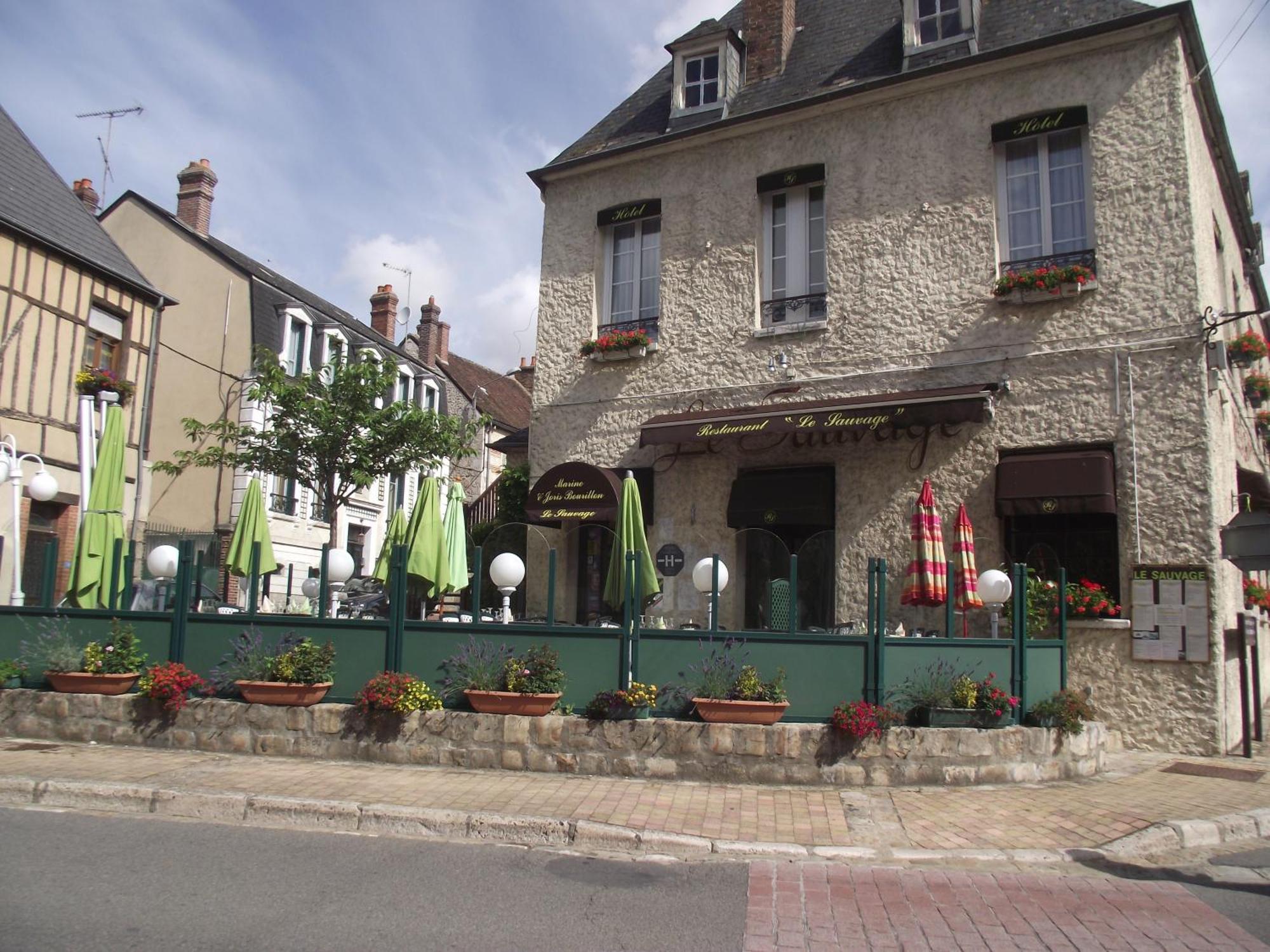 Le Sauvage Otel Château-Renard Dış mekan fotoğraf