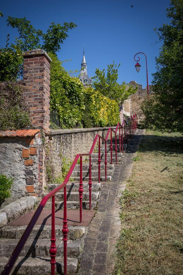 Le Sauvage Otel Château-Renard Dış mekan fotoğraf